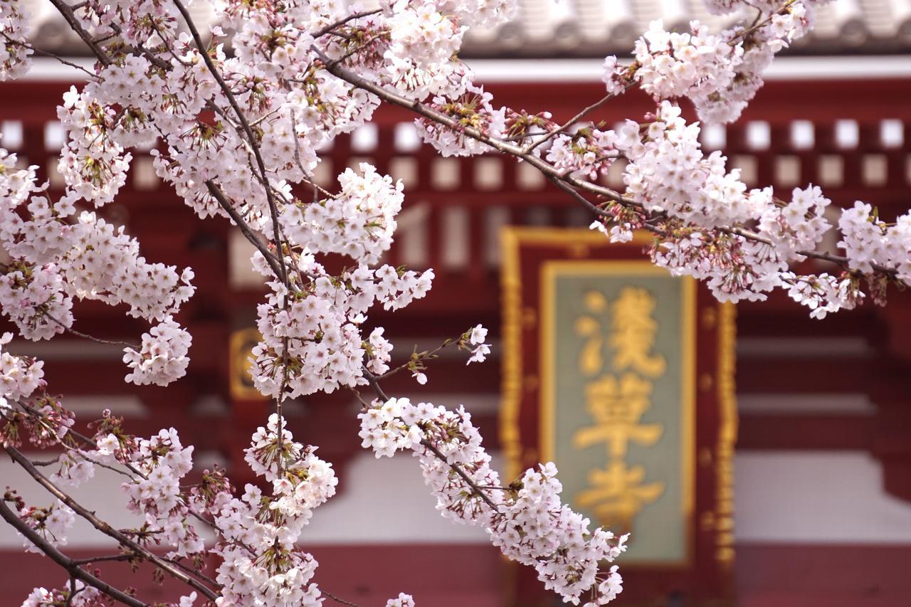 Grids酒店&旅舍-东京浅草桥 東京都 外观 照片